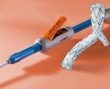 JOTEC vascular graft